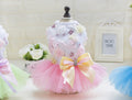 Teddy dog pet dress