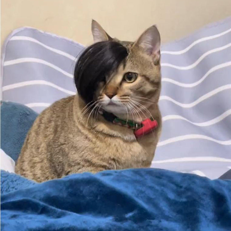 Pet Wig Fox Cat Funny Dress Up