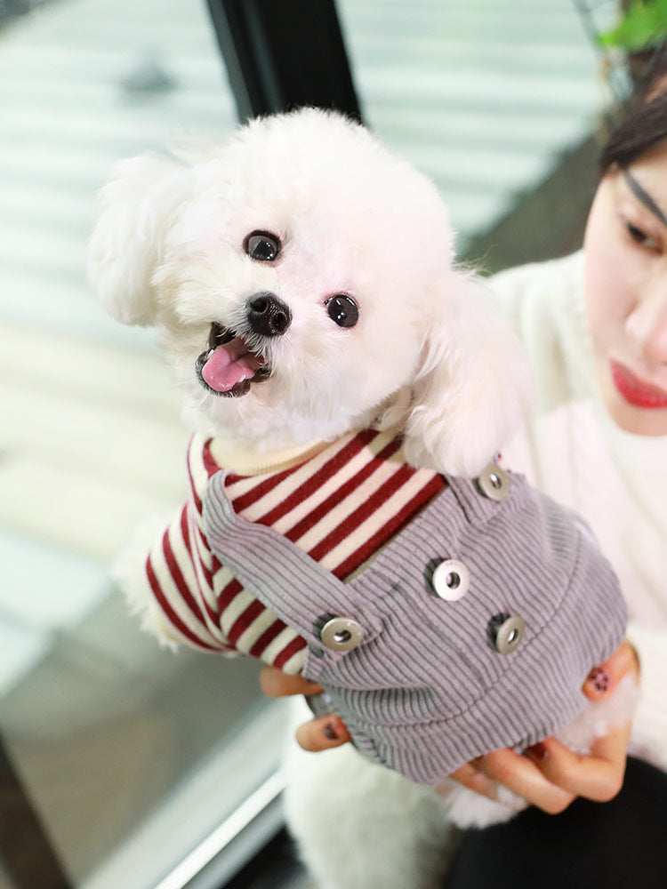 Dog thin autumn and winter clothes