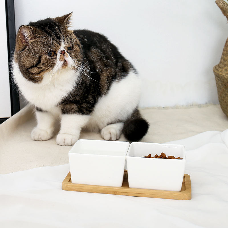 Ceramic pet rice bowl with bamboo frame