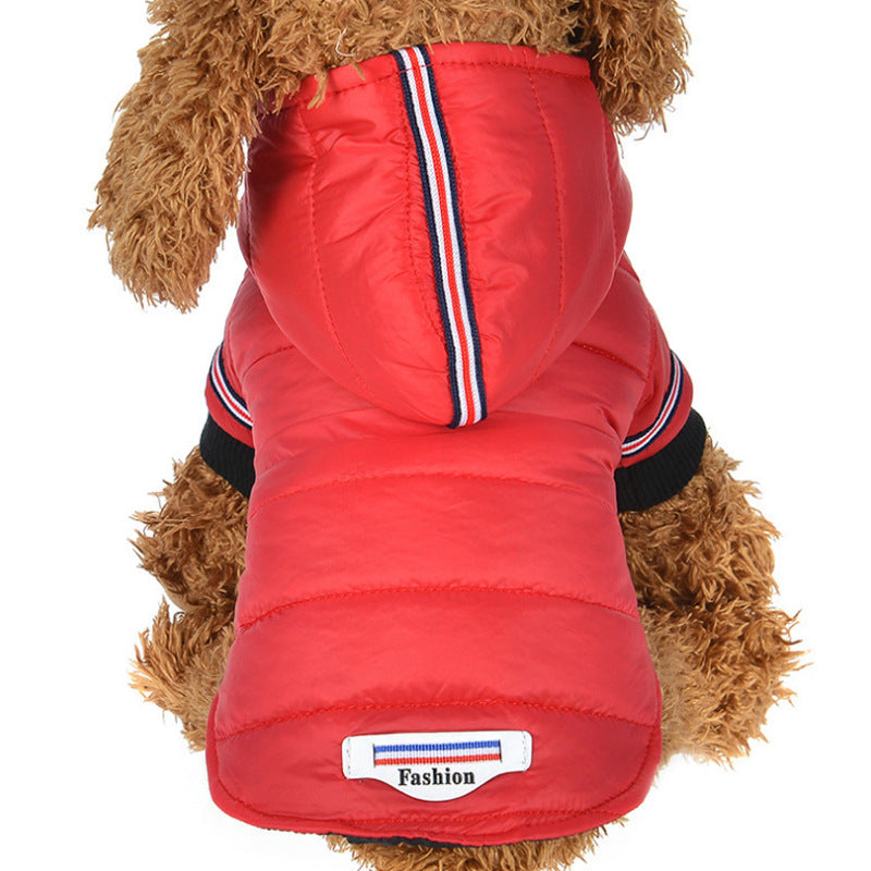 Dog clothes cat clothes autumn