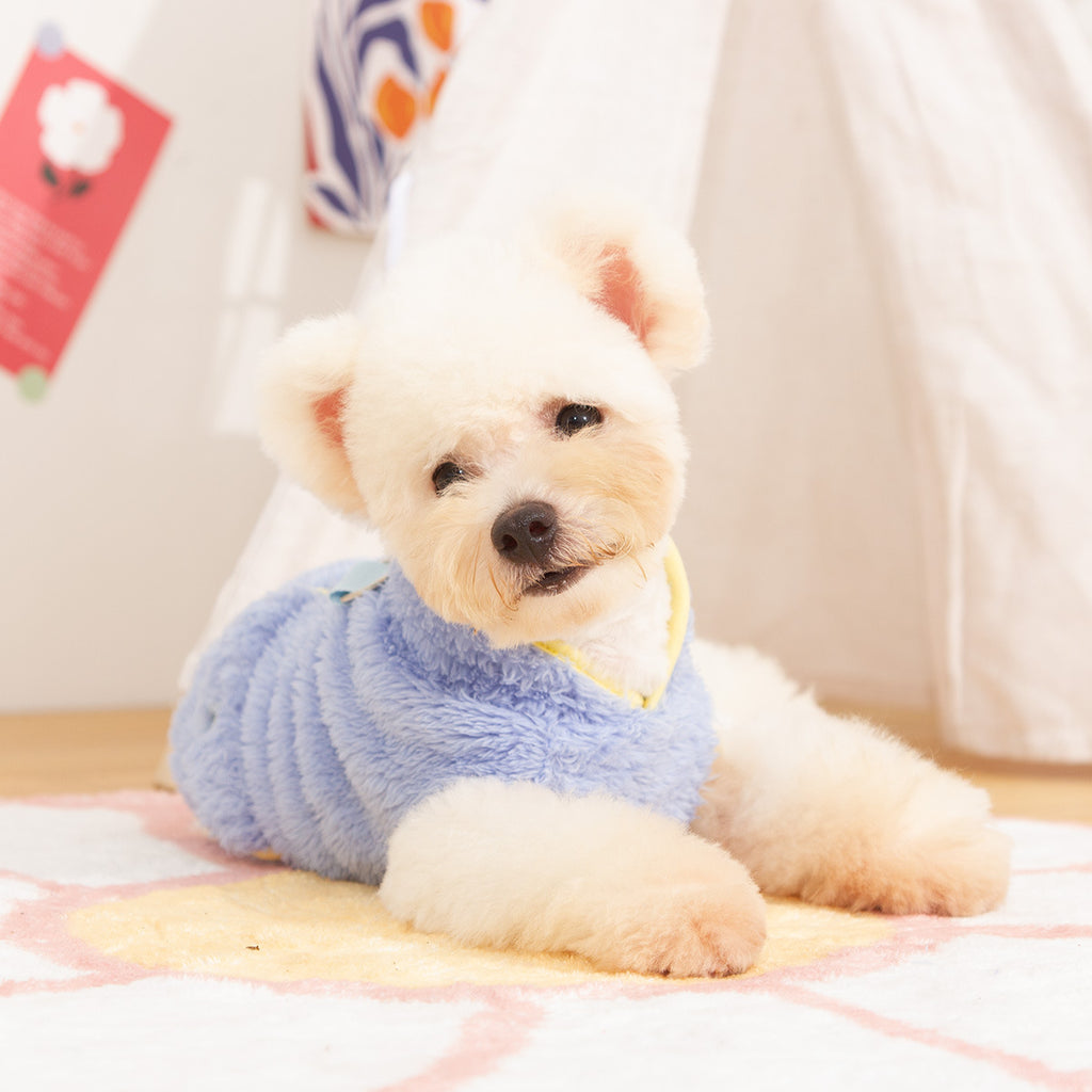 Autumn And Winter Double-sided Plush Dog Clothes