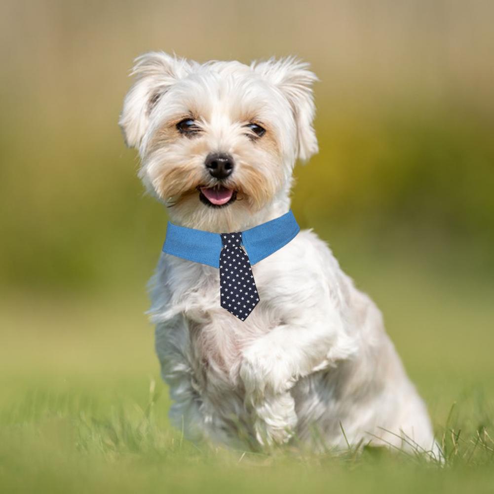 Durable Pet Collar Adjustable Denim Pet Collar With Star Pattern Dog Necktie For Holiday Weddings Formal Events For Dogs