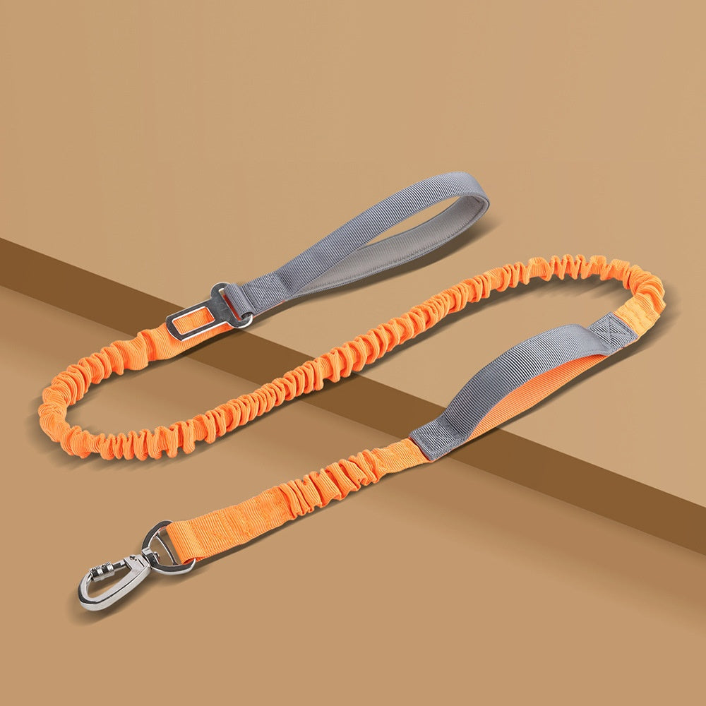 Dog Leash Anti-Burst Reflective Outdoor