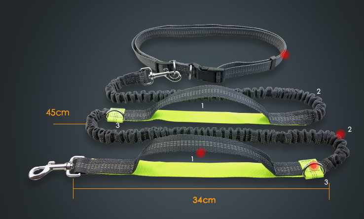 direct pet supplies multi-function running reflective pull dog leash double elastic dog leash traction
