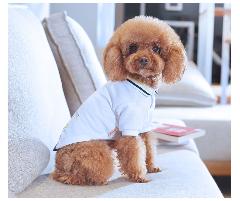 Teddy pet summer T-shirt