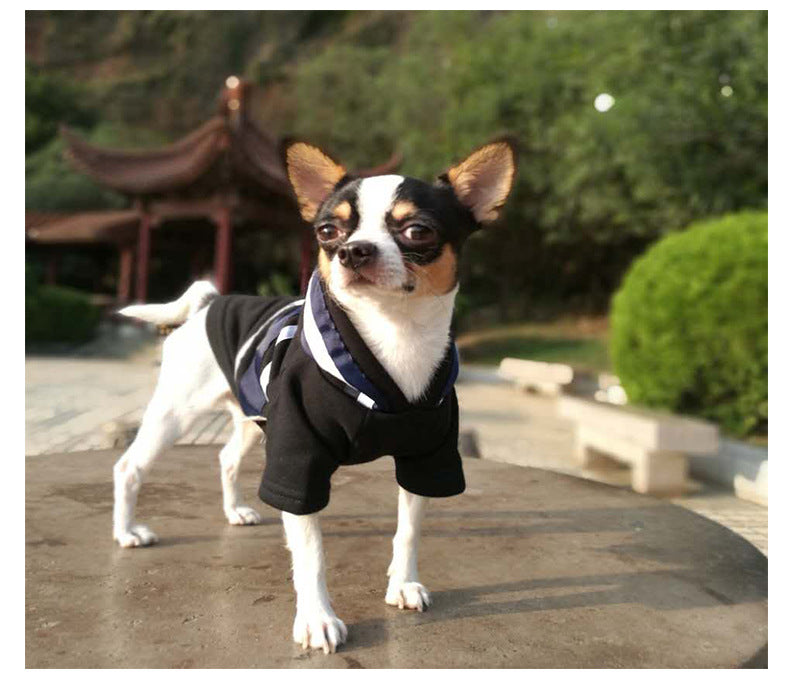 Dog clothes for autumn and winter