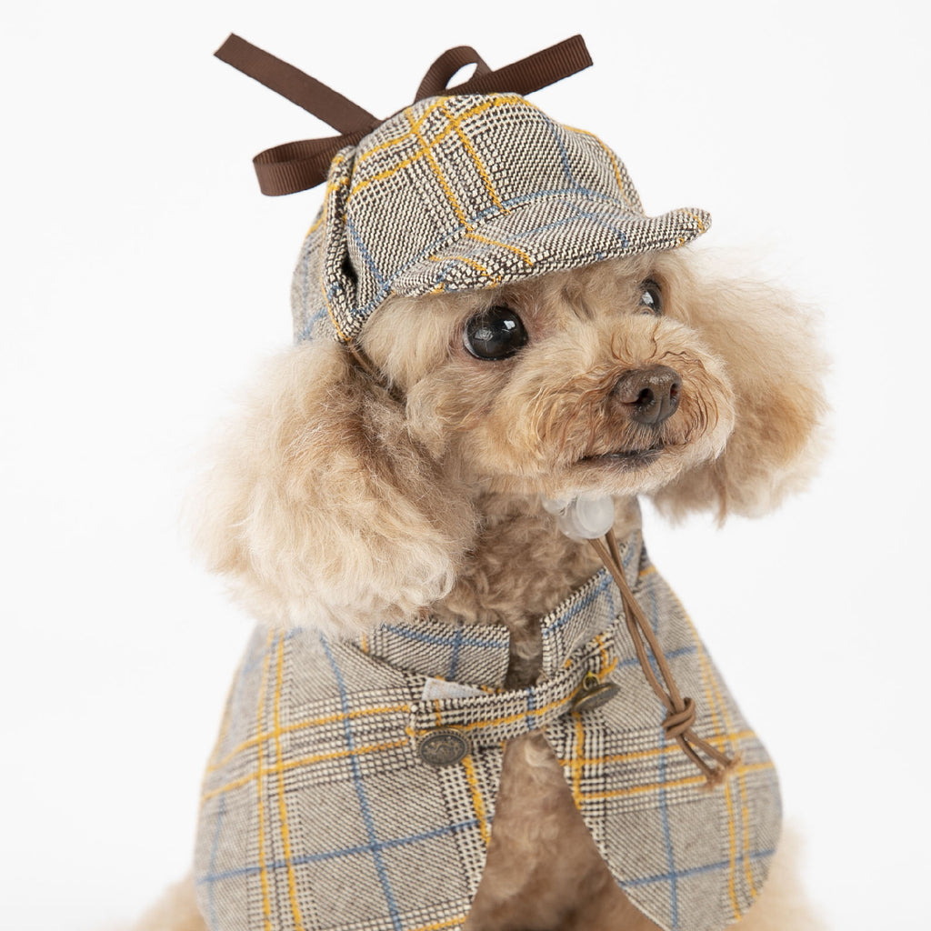Cute Personalized Cloak Spring And Autumn Pet Clothes