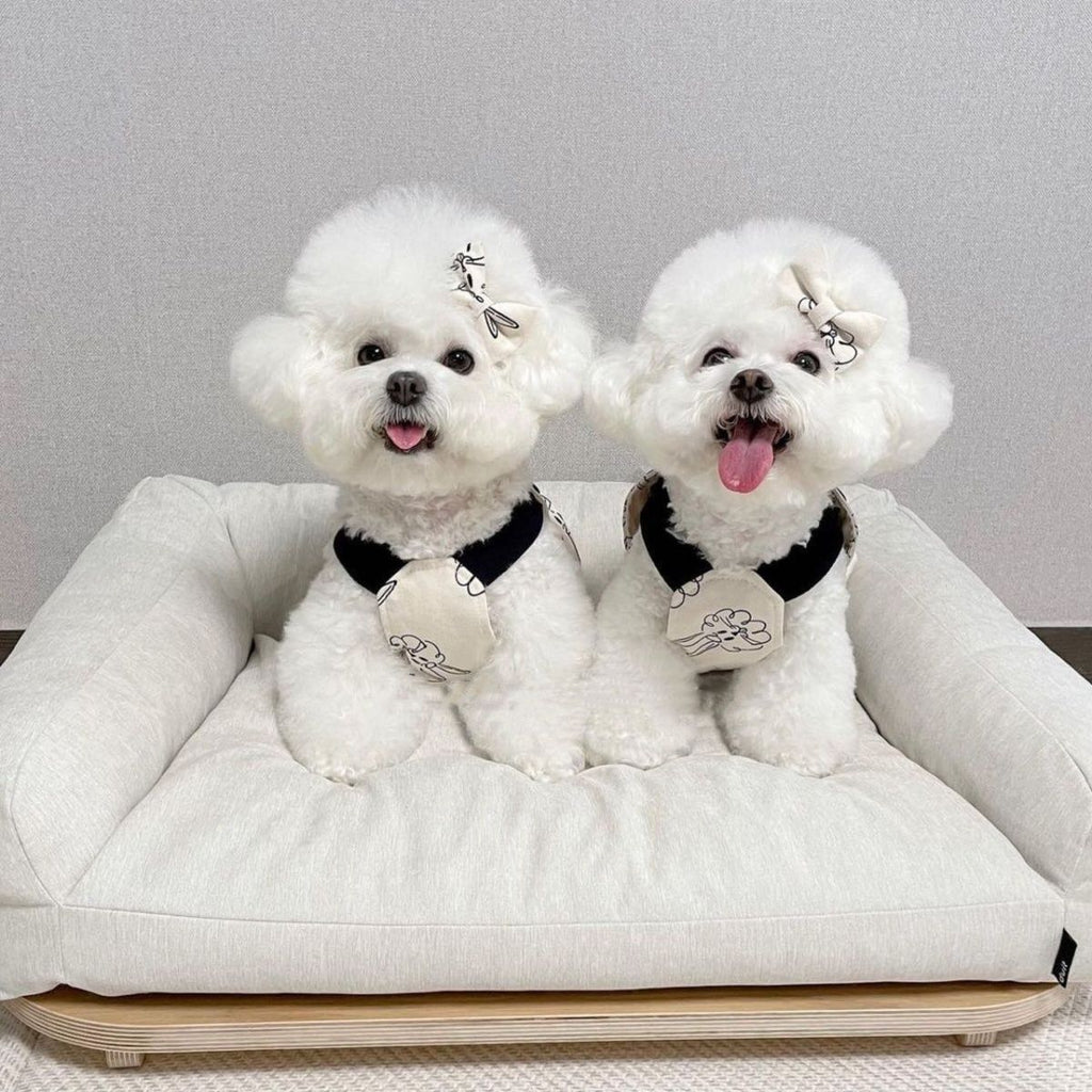 Pet Dog Overalls Teddy Bichon Trend