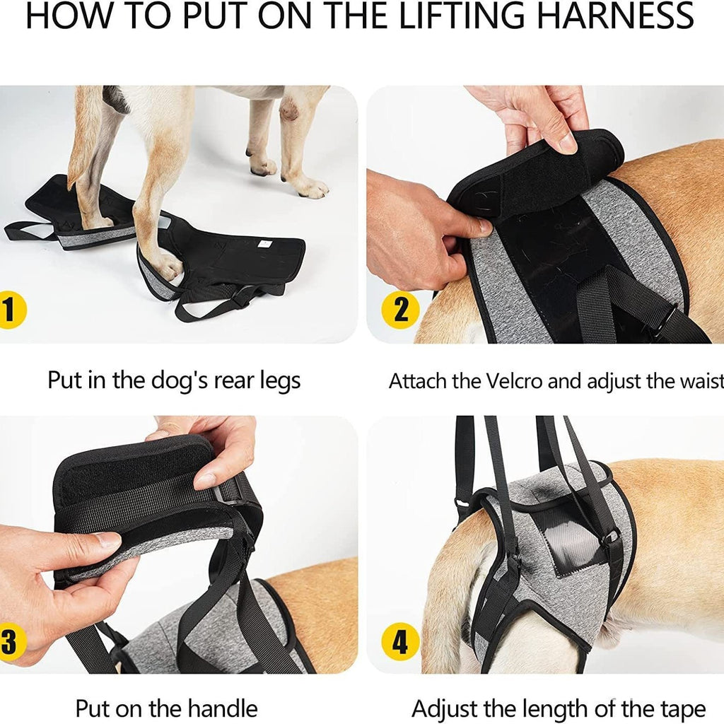 Pet Supplies Injured Dog Rear Leg Auxiliary Back