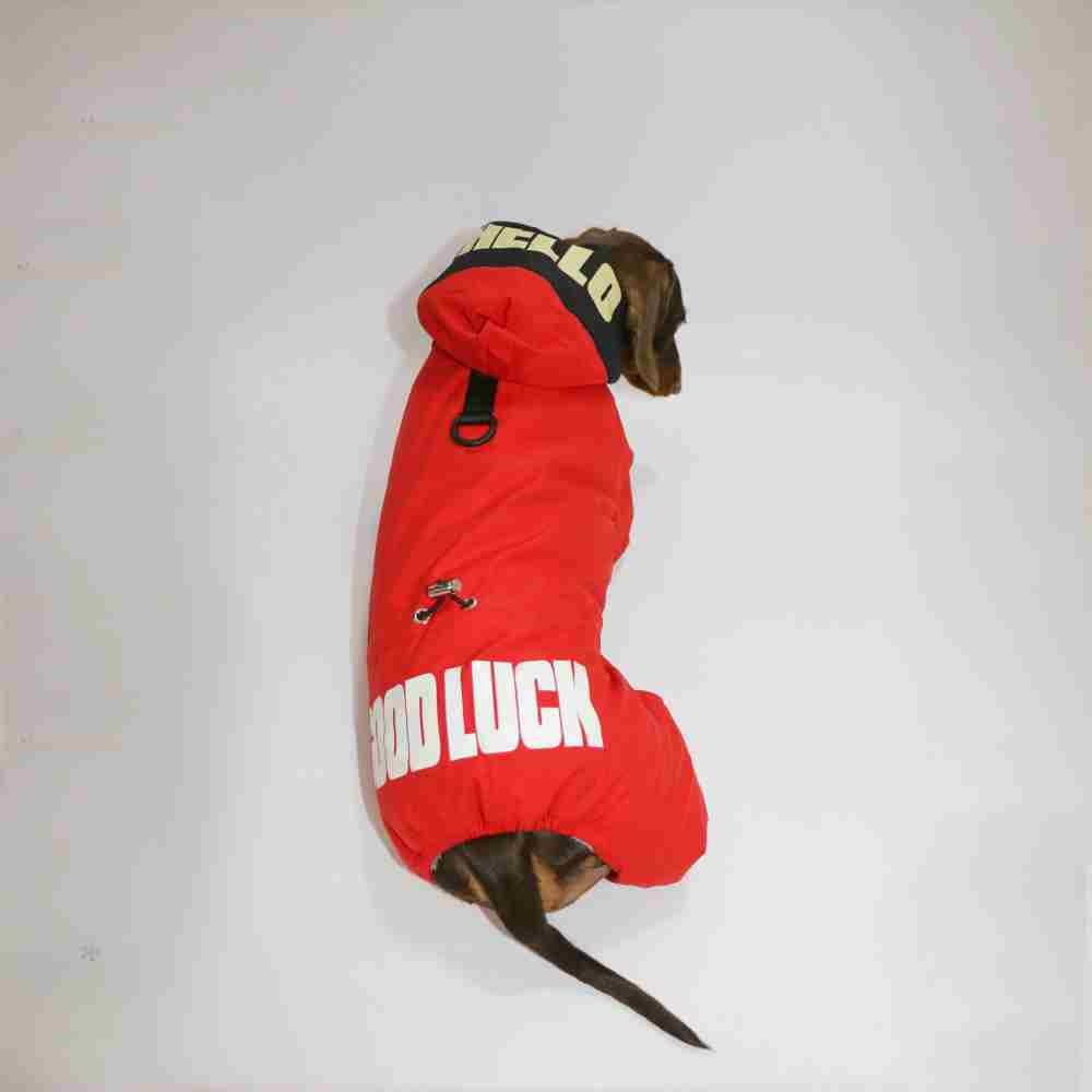 Dog Cat Winter Warm Thickened Outdoor Four-legged Pet Clothing