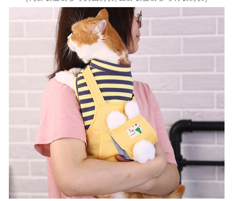 Warm And Cute Clothes For Four-legged Anti-lint Cat And Pet