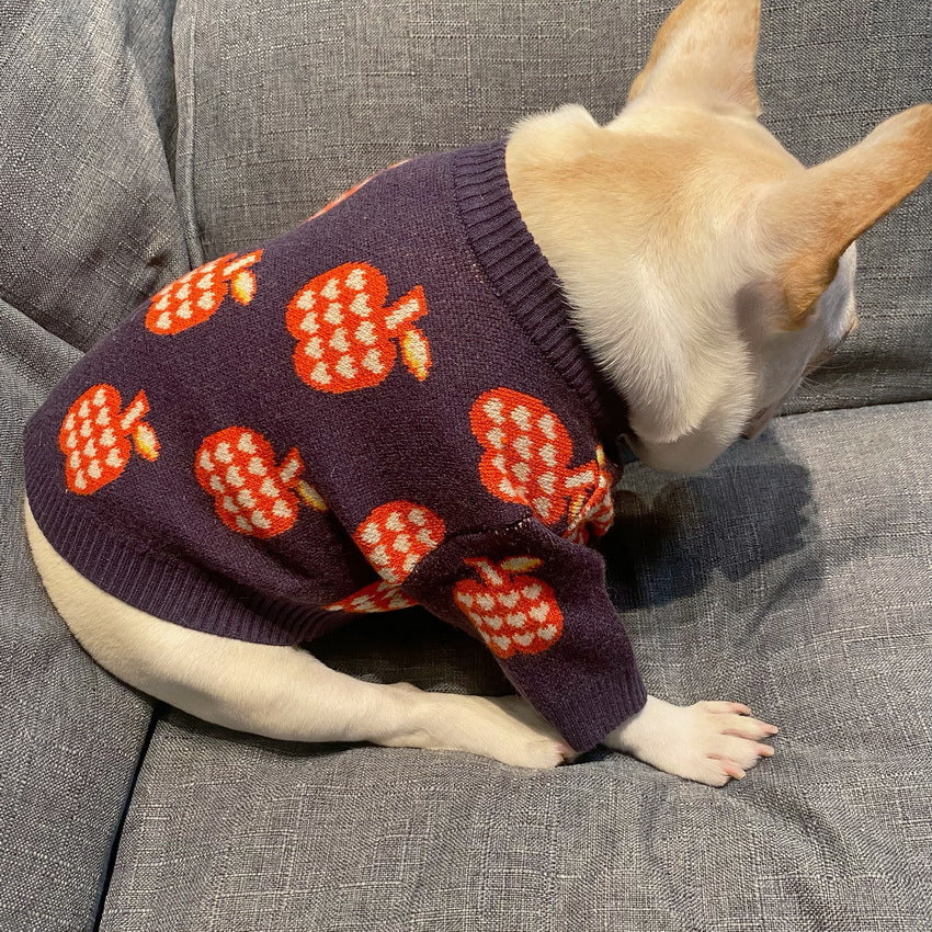 Puppy Cat Autumn And Winter Sweater