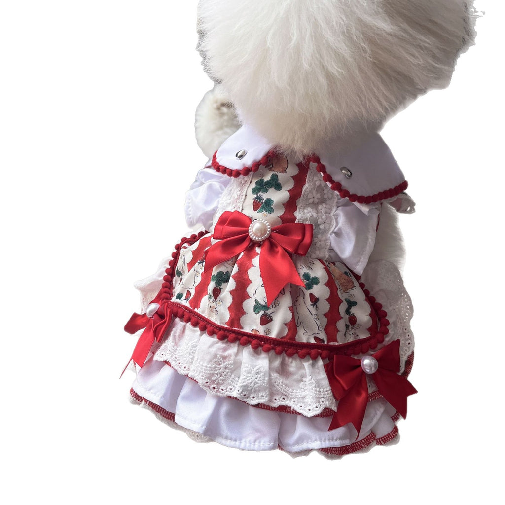 Pet Dog Clothes Clothes Are Better Than Xiong Bo