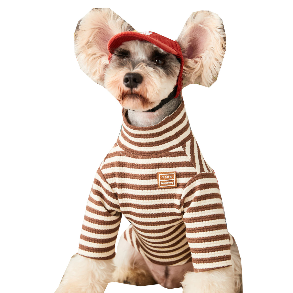 Cat's Two-piece Striped High-neck Bottom Shirt