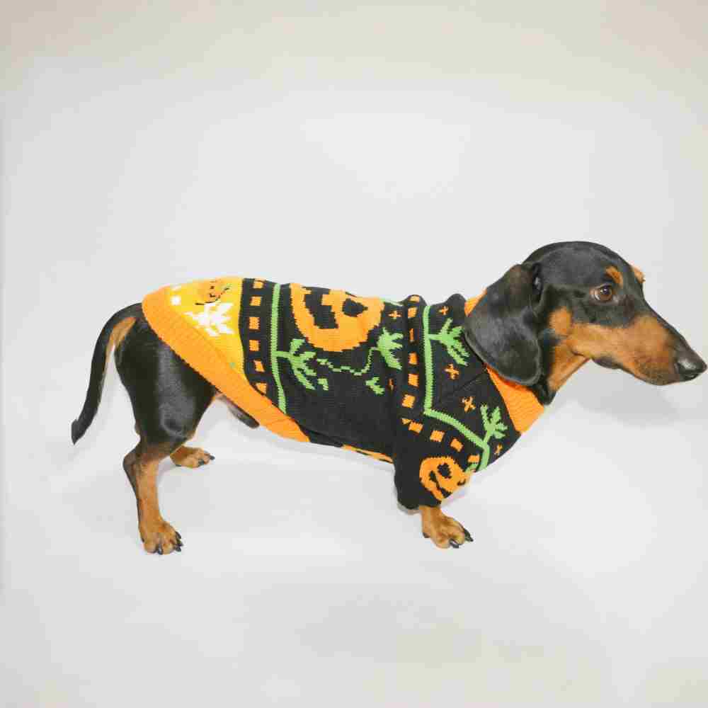 Dog Cat Pet Clothes Warm Pumpkin Color Matching Sweater