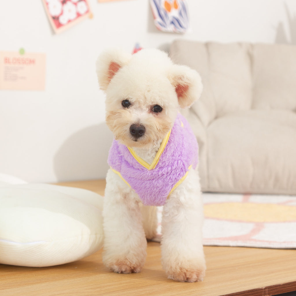 Autumn And Winter Double-sided Plush Dog Clothes