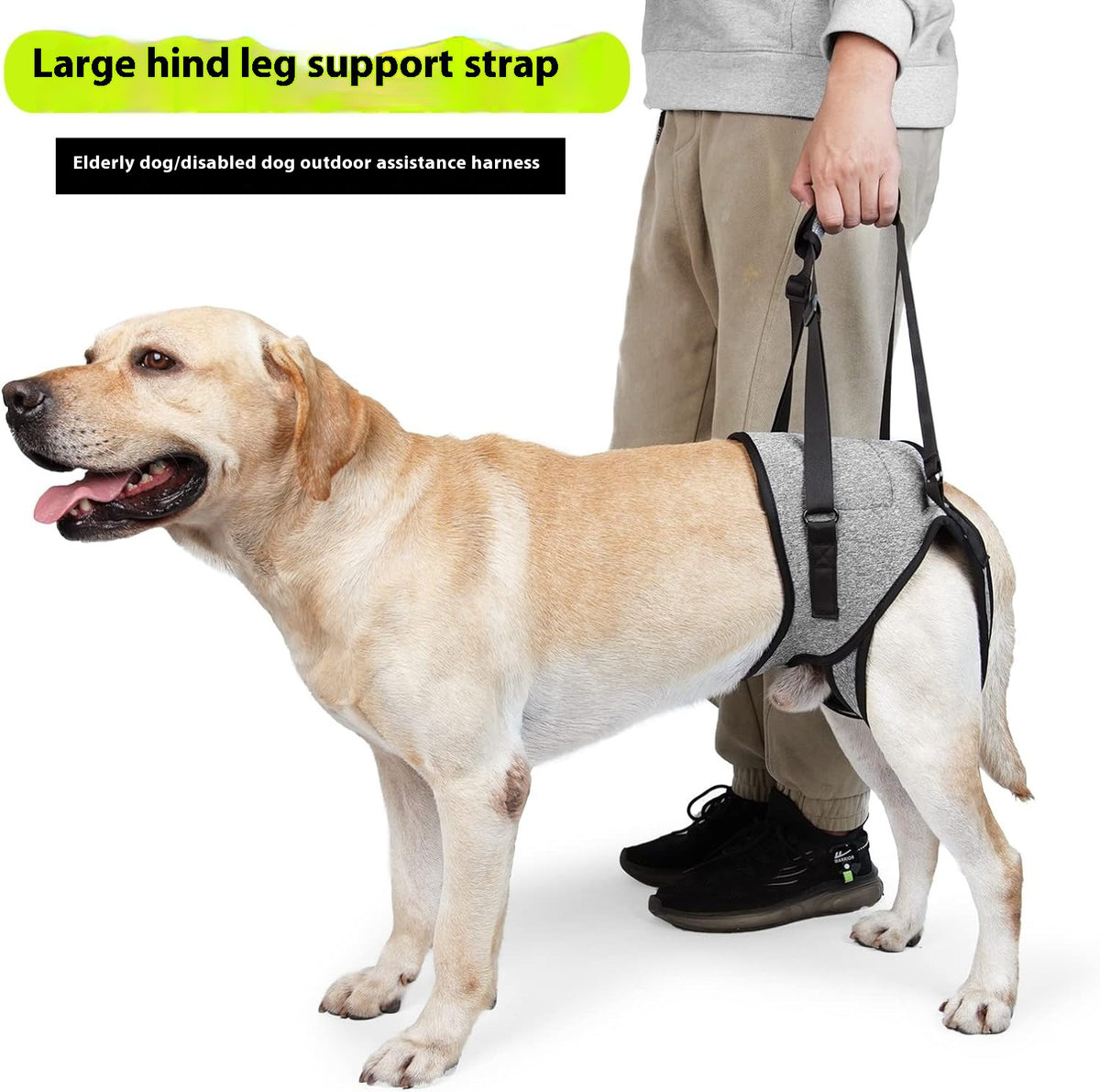 Pet Supplies Injured Dog Rear Leg Auxiliary Back
