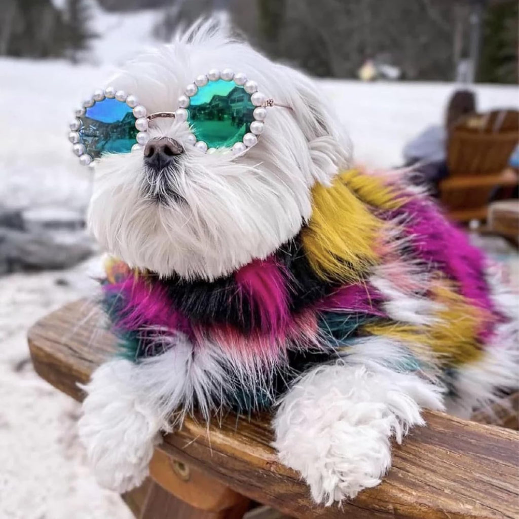 Cat And Dog Pearl Sunglasses - Pet Extravagant Funny Cute Dress Up Costume Accessories For Party