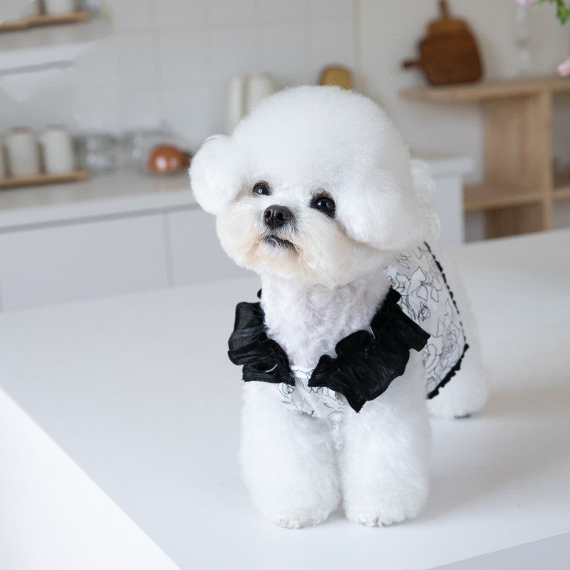 Chiffon High-end Skirt Pet