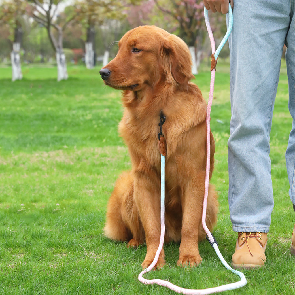 Pet Dog Cat Walking Multi-purpose Reflective Hand Holding Rope