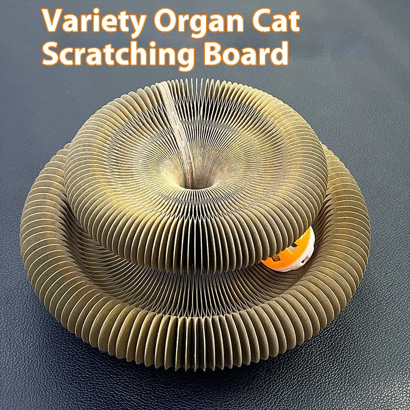 Organ Cat Scratch Board With Ball Magnetic Suction Foldable Changeable