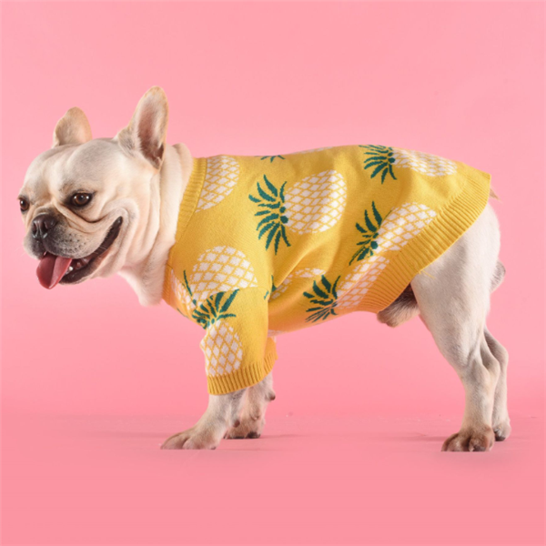 Pineapple sweater