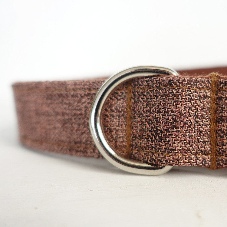 Dog traction collar