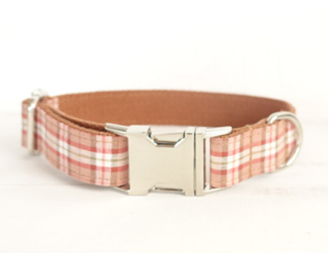 Creative design dog collar