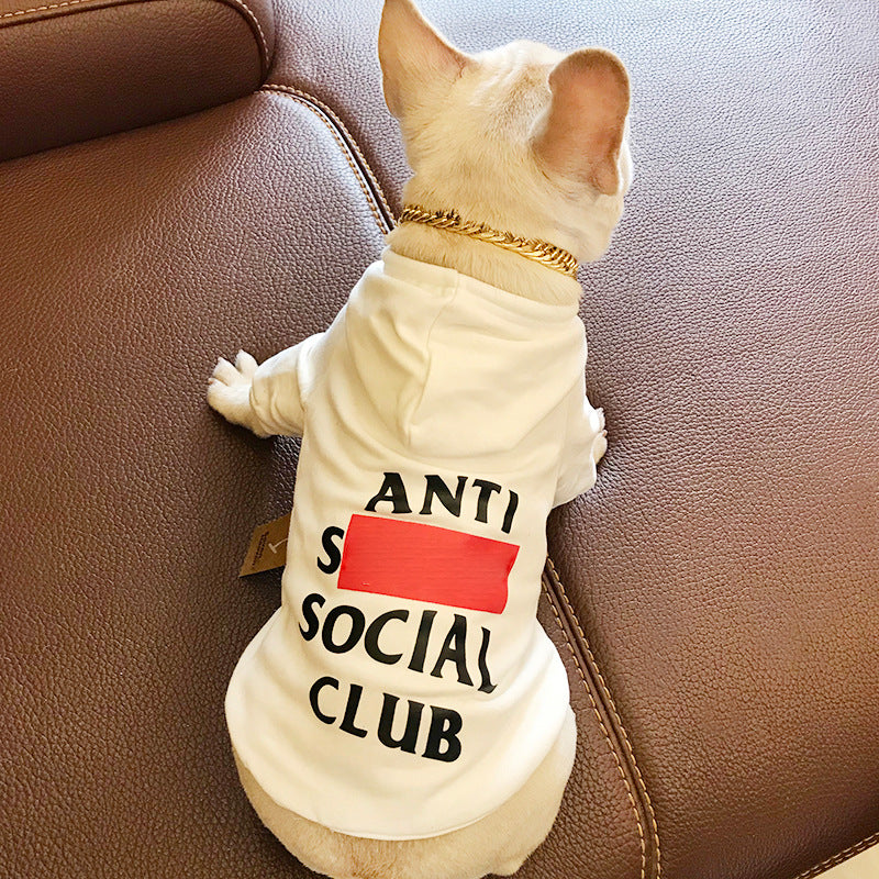 Spring and Autumn Alphabet Dog Sweatshirt
