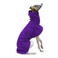 Pet clothing belt four-legged multi-color warm