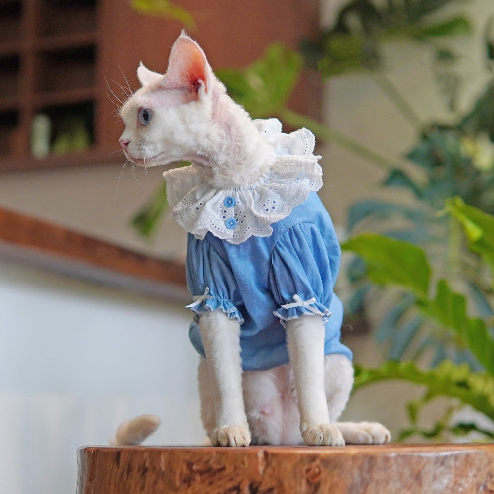 Sphynx Cat Summer Blue Dress With Lace Collar Lightweight Skin-Friendly Apparel For Hairless Cats And Devon Rex