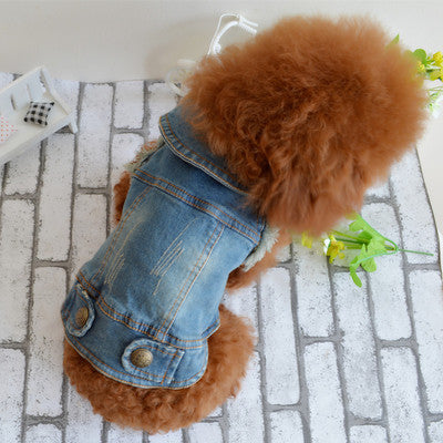 Pet Dog Clothes Teddy VIP Pet Bichon Winter Clothing Retro Jeans Vest And Grasps The Grain Character
