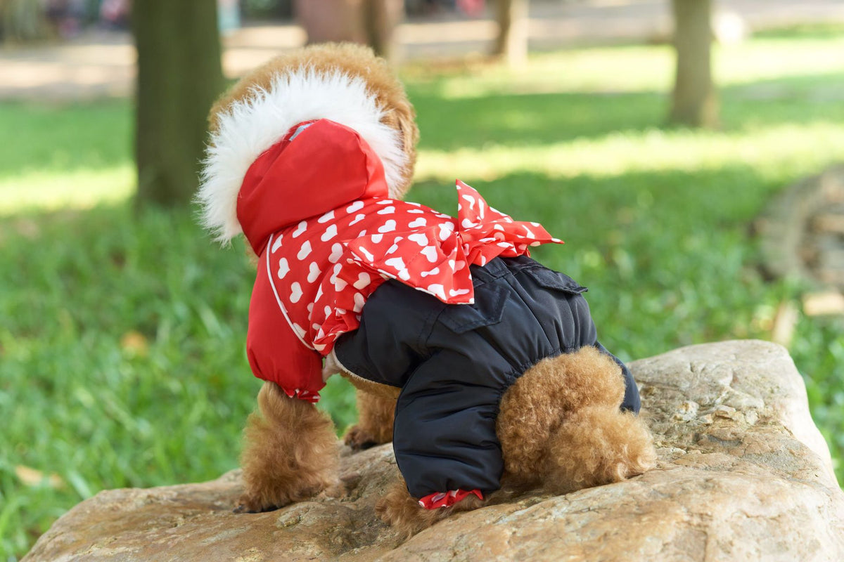 Four-legged Pet Dog Thickened Winter Clothes