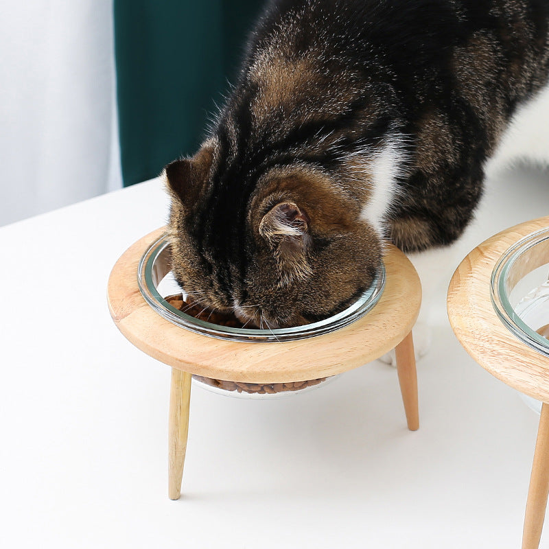 Glass cat bowl