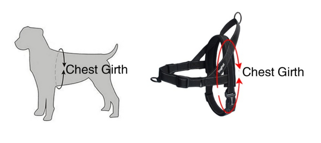 Dog chest strap