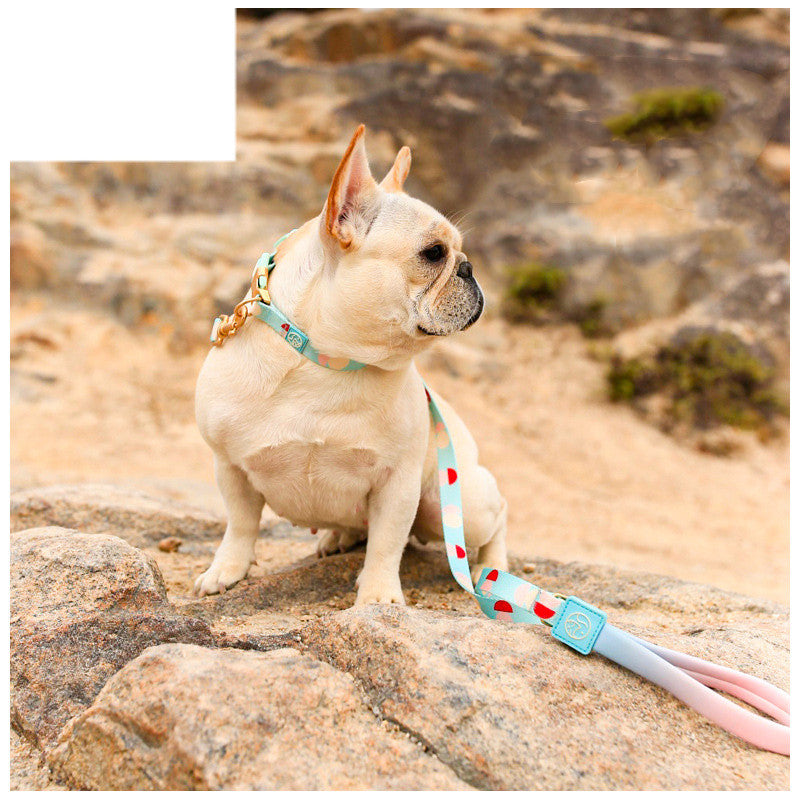 Fashion Y-shaped Chest Strap Pet Supplies Dog Leash
