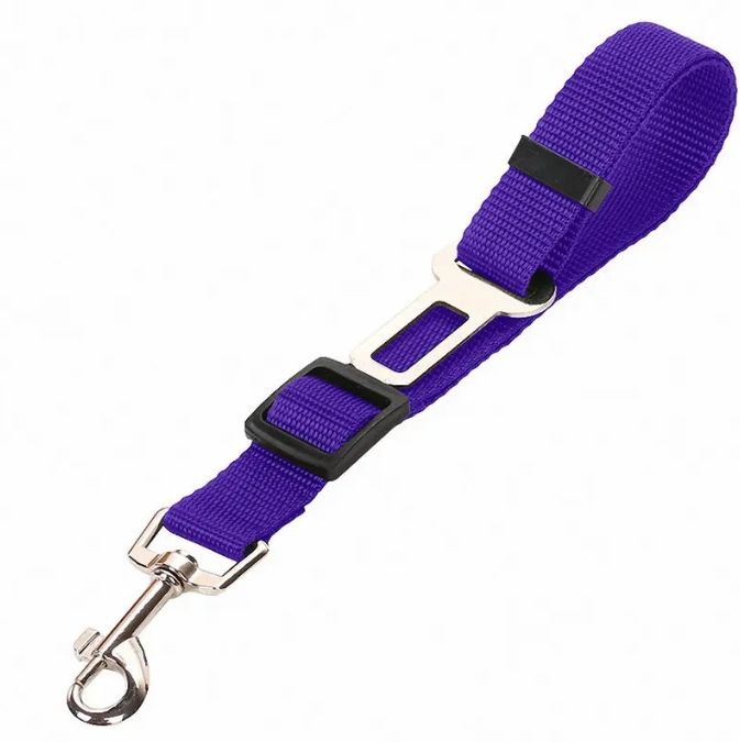 Seat Belts Dogs Car