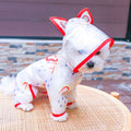Transparent Waterproof Rainbow Dog Raincoat