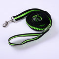 New outdoor dog elastic traction rope