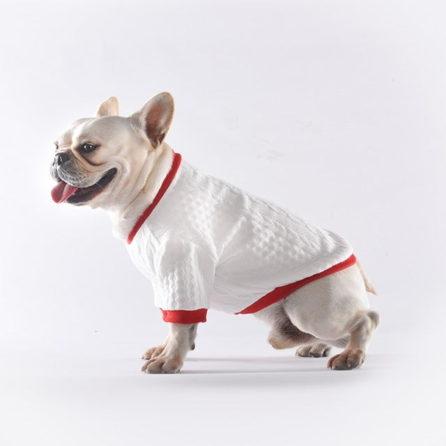 Pet base coat