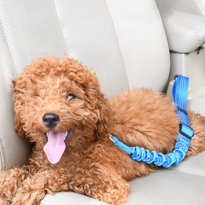 Dog elastic car seat belt traction rope