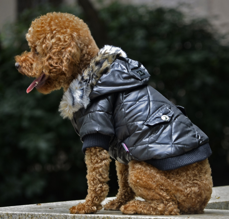 pet supplies pet clothes dog clothes autumn and winter fur collar coat pet dog clothing