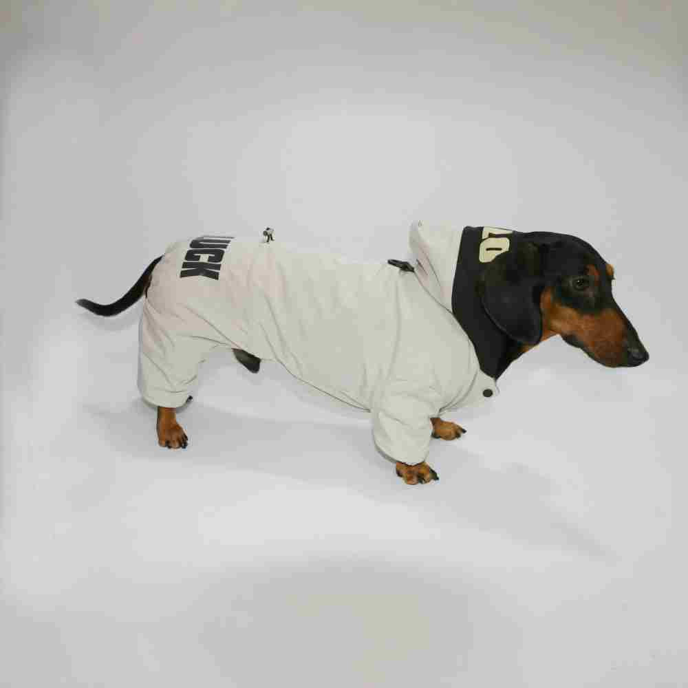 Dog Cat Winter Warm Thickened Outdoor Four-legged Pet Clothing