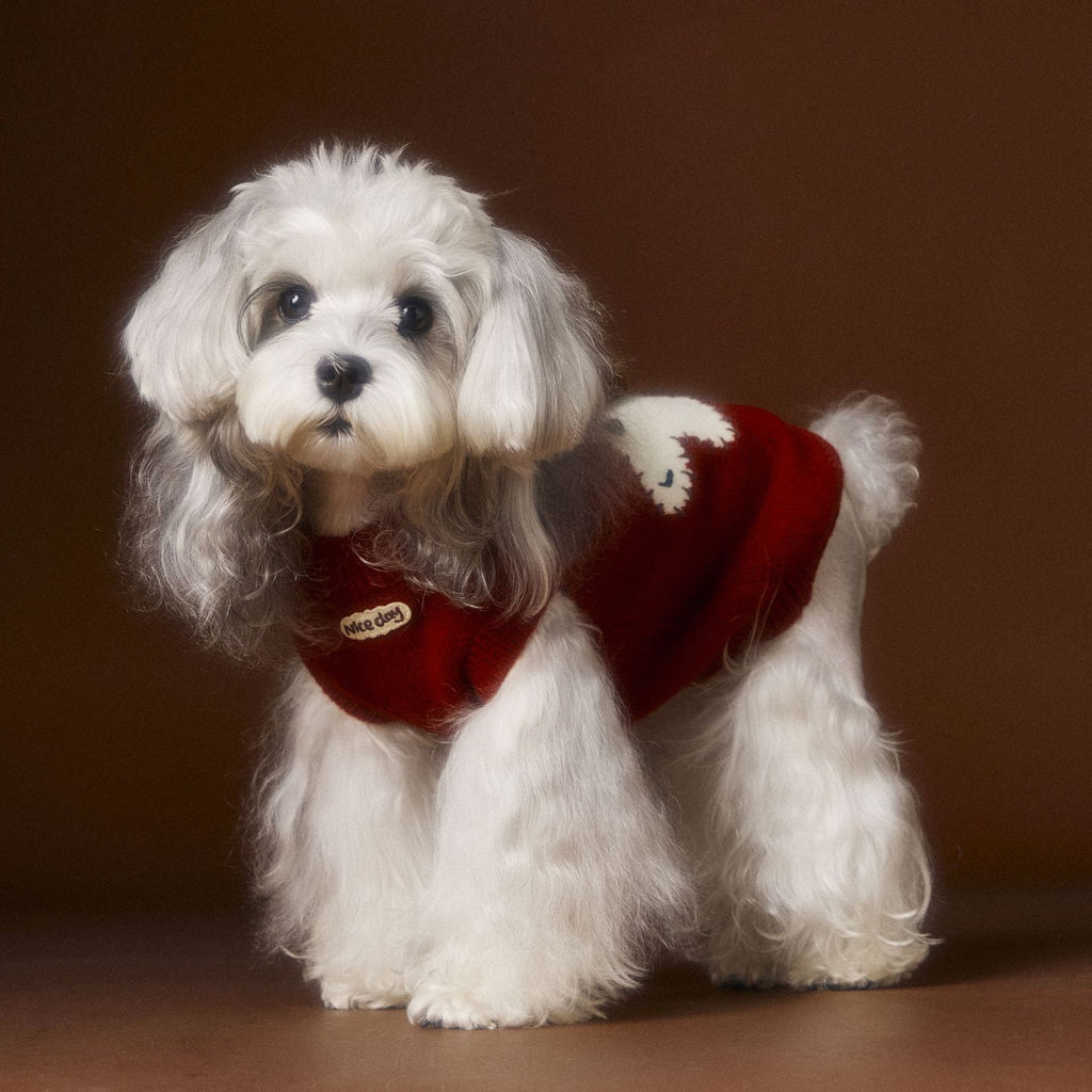 Schnauzer Teddy Bichon Warm With Ears Sleeveless Sweater Vest