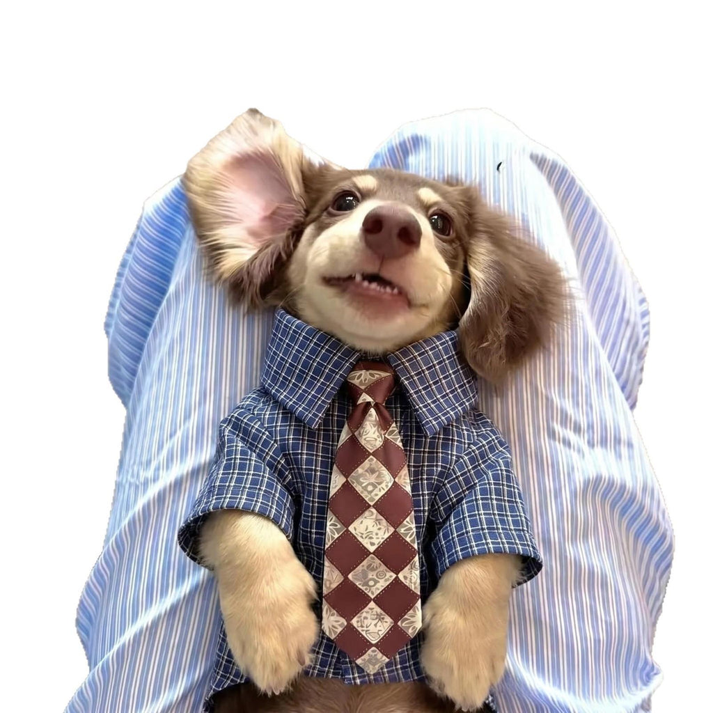 Fashionable Pet Clothing Schnauzer Shirt Top