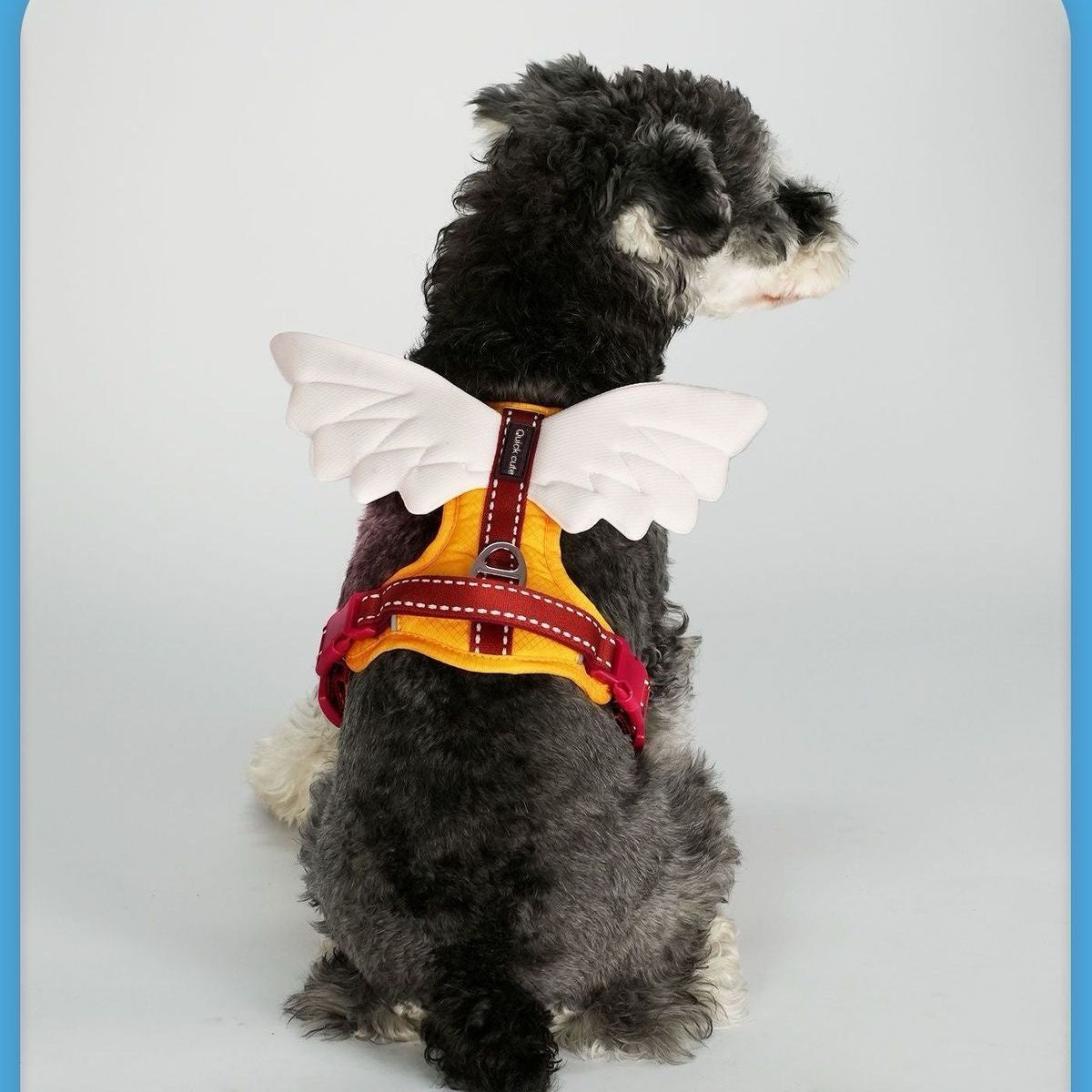 Universal Outdoor Dog Harness With 3D Angel Wings And Leash