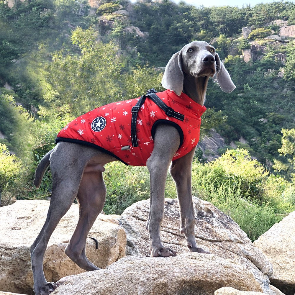 New Pet Reflective Cotton-padded Coat