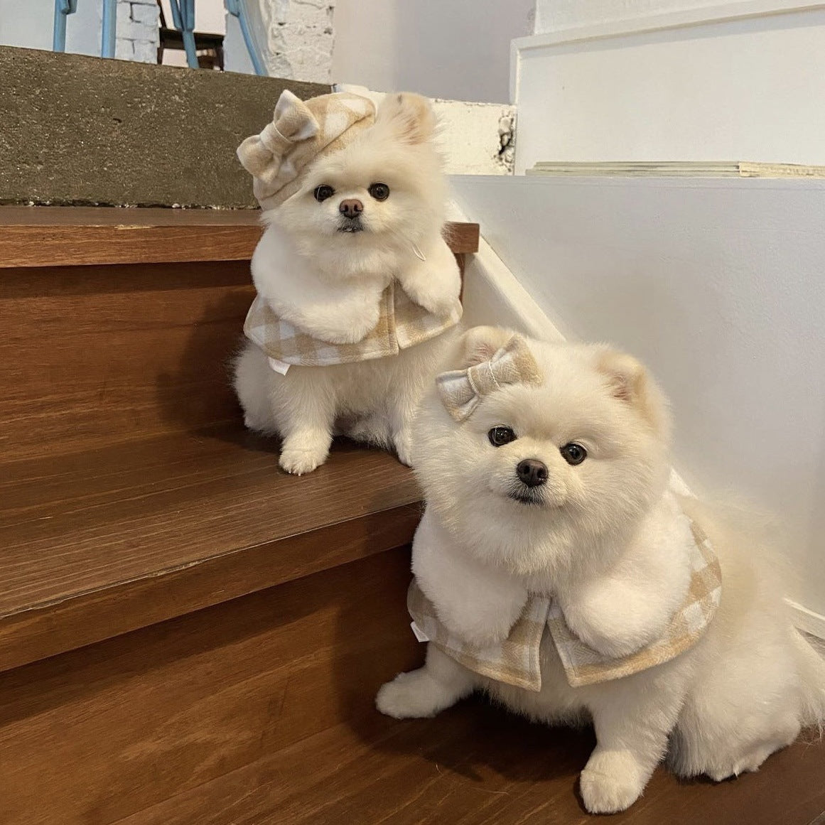 Korean Plaid Pet Cape Scarf And Hat Set