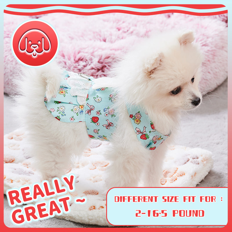 Dog Harness Dress With Leash Set Cute Puppy Dresses With Angel Wings Fashion Outfit Clothing Chihuahua Clothes Pet Harness Set